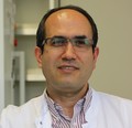 Sadegh Mousavi