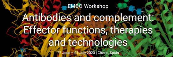 EMBO Workshop